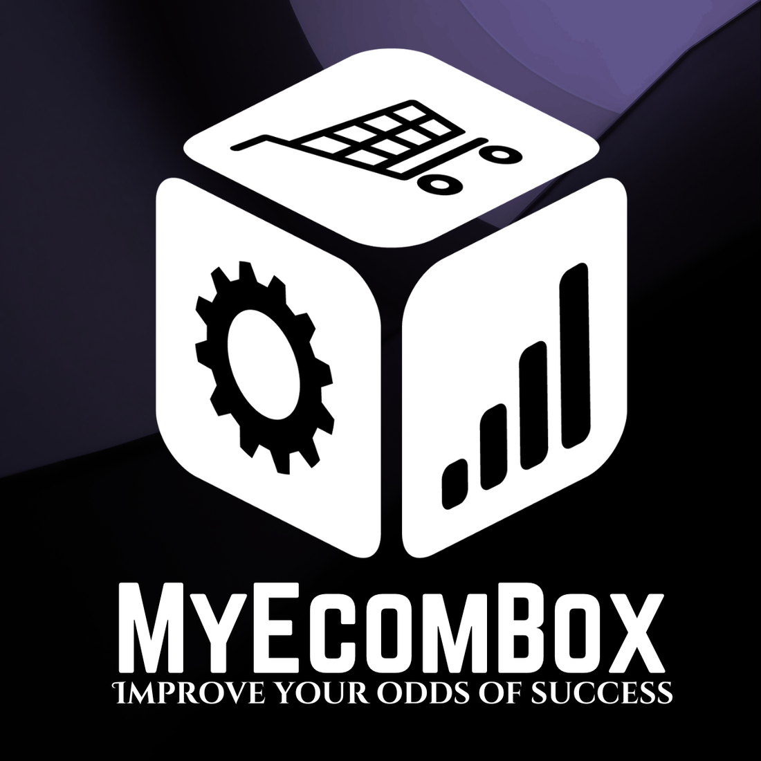 Why MyEcomBox is Revolutionizing E-Commerce Success for Online Merchants