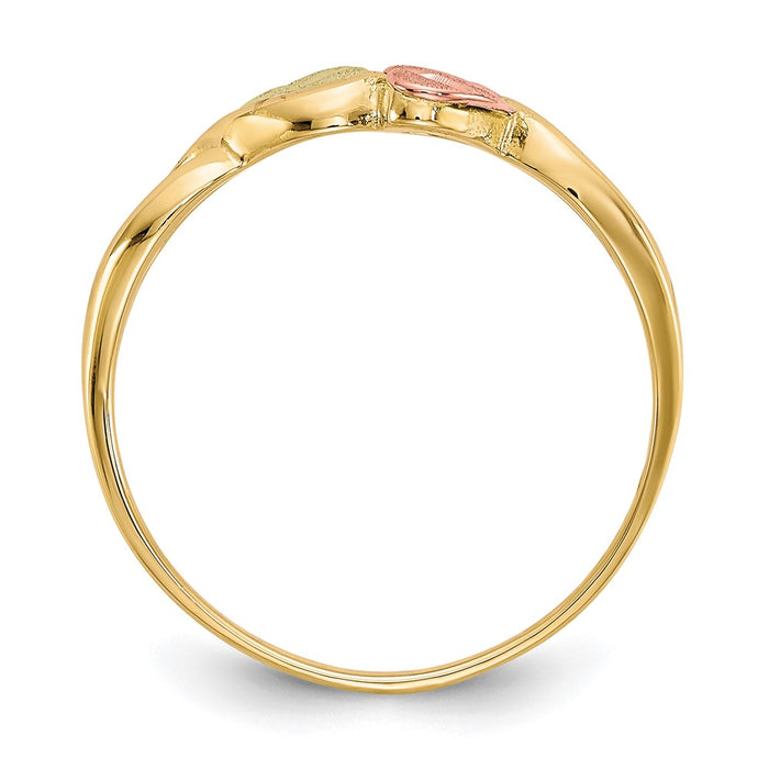 Shop Stylish 10K Tri-Color Black Hills Gold Ring | Affordable Luxury Design-2