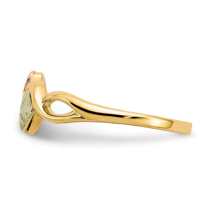 Shop Stylish 10K Tri-Color Black Hills Gold Ring | Affordable Luxury Design-3
