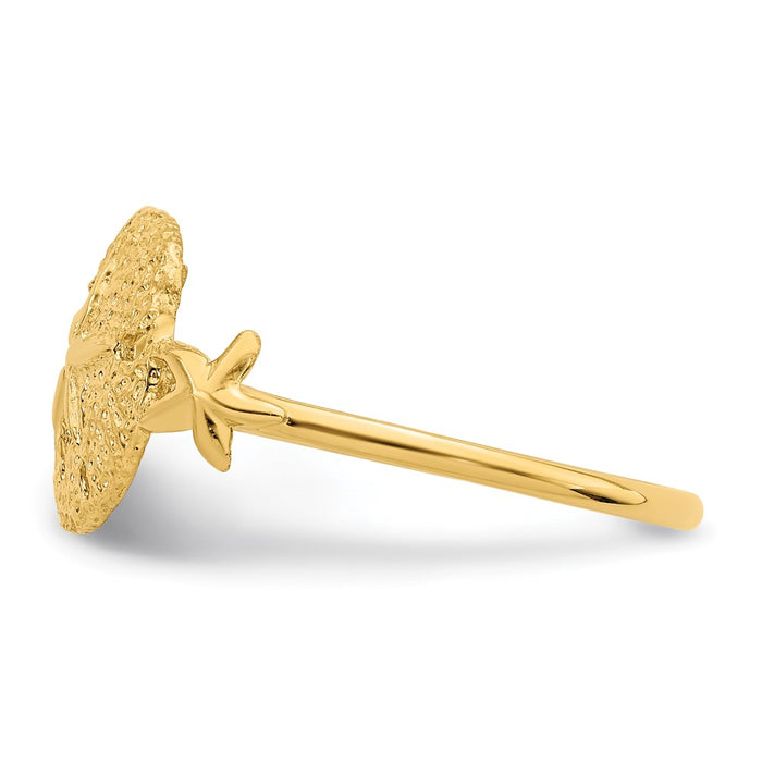 Exclusive 14K Gold Polished Sand Dollar Ring | Stylish & Affordable Elegance-3