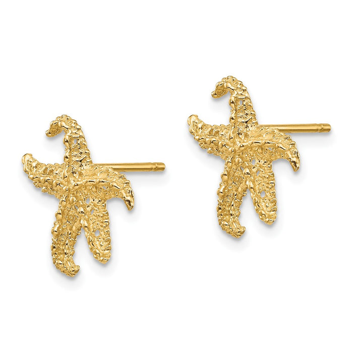 Shop 14K Gold Starfish Earrings - Stylish Luxury Jewelry, Lightweight & Unique!-2