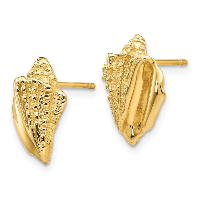 Buy Stylish 14K Gold Conch Shell Earrings - Luxury Design, Affordable Price-2