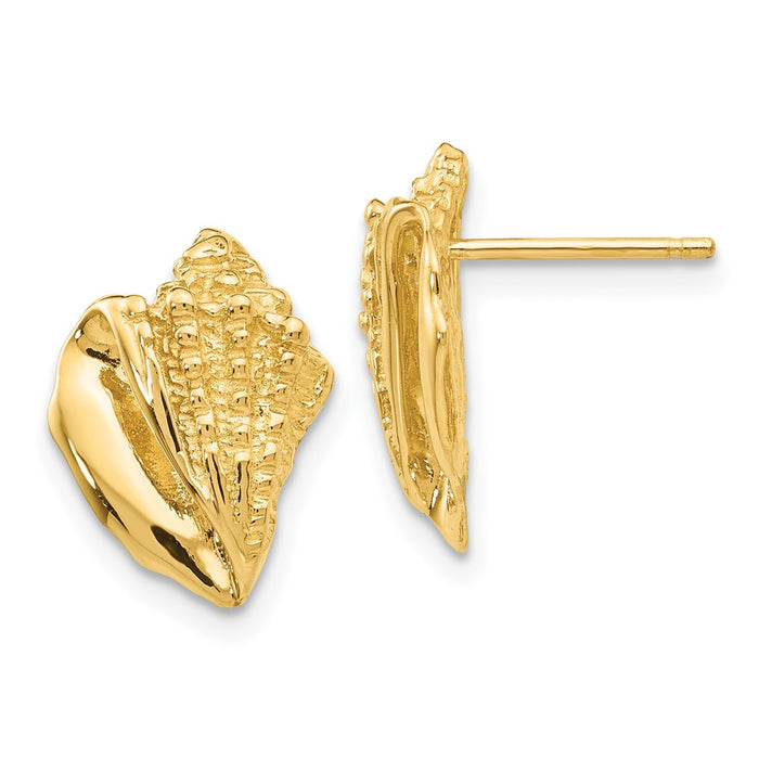 Buy Stylish 14K Gold Conch Shell Earrings - Luxury Design, Affordable Price-1