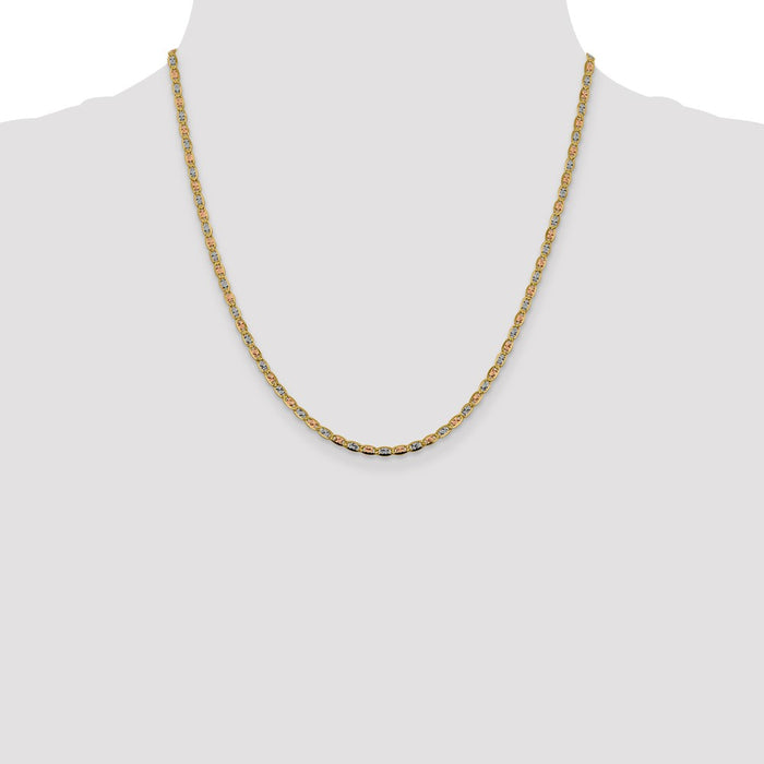 Buy High-quality 14K Tri-Color Valentino Chain - 20 Inch, 2.75mm, Stylish Lobster Clasp-4