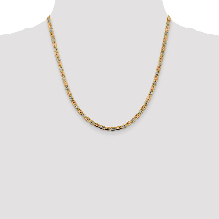 Buy 14K Tri-Color Valentino Chain - 20 Inch, 3.8mm, Stylish Lobster Clasp-4