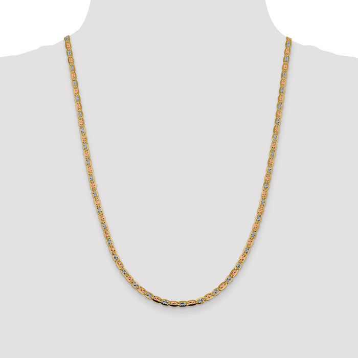 Buy 14K Tri-Color Valentino Chain - 24 Inch, 3.8mm Luxury Style with Clasp-4