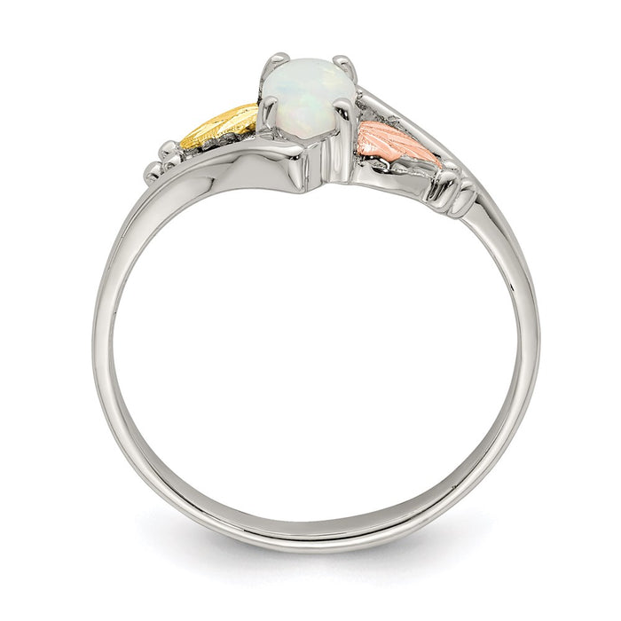 Exclusive Landstrom's Mt. Rushmore Sterling Silver Ring - Stylish 12K Gold Accents & Lab-Created Opal-2