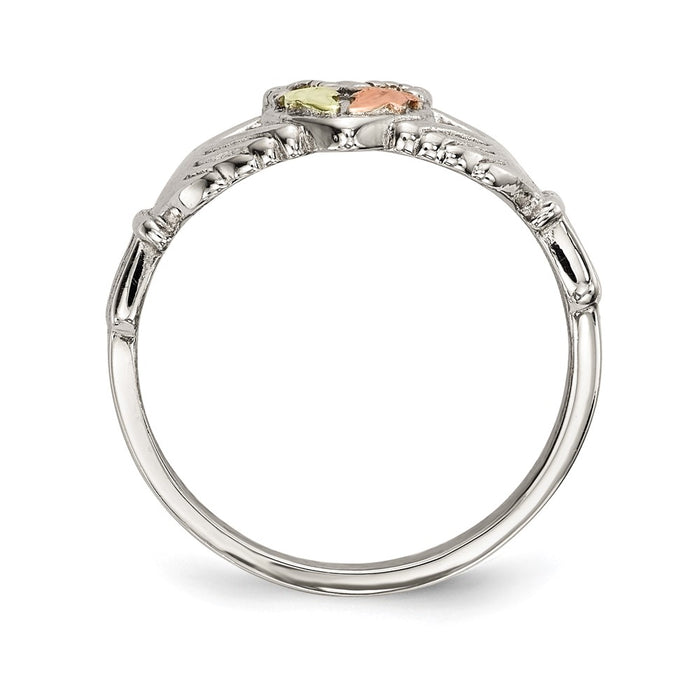 Buy High-Quality Landstrom's Sterling Silver Claddagh Ring with 12K Gold Accents-2