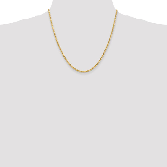 Shop 14K Gold 20-Inch 3mm Diamond-Cut Rope Chain - Stylish Luxury Jewelry-4