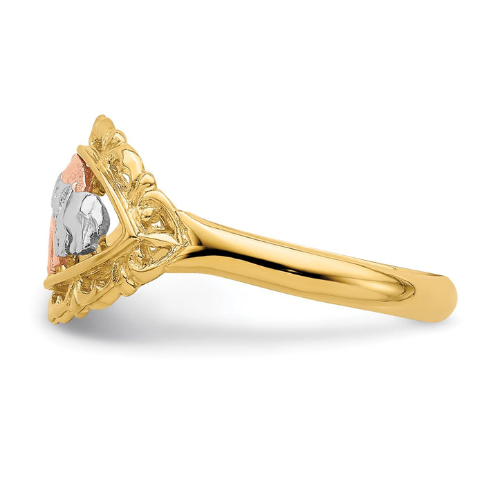 Shop Stylish 14K Two-Tone Ring with White Rhodium-Plated Elephants, 9mm-3