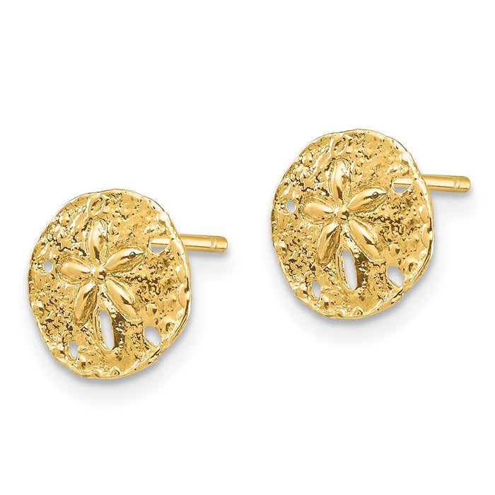 Buy Stylish 14K Gold Sand Dollar Stud Earrings - Affordable Luxury Accessory-2
