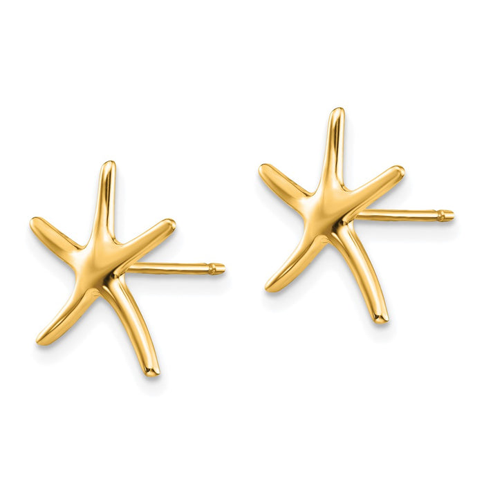 Exclusive 14K Gold Starfish Stud Earrings - Stylish & Affordable Luxury!-2