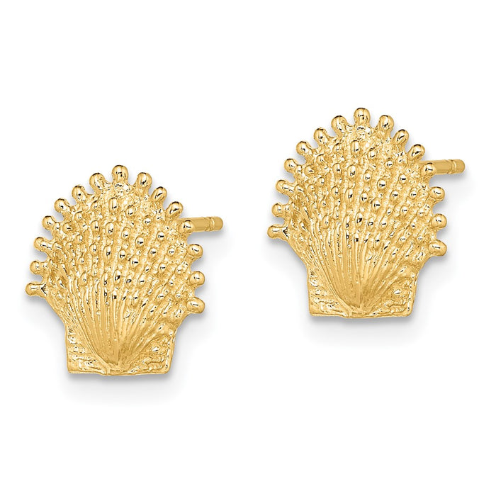 Shop 14K Gold Beaded Scallop Shell Stud Earrings - Stylish Luxury for You-2