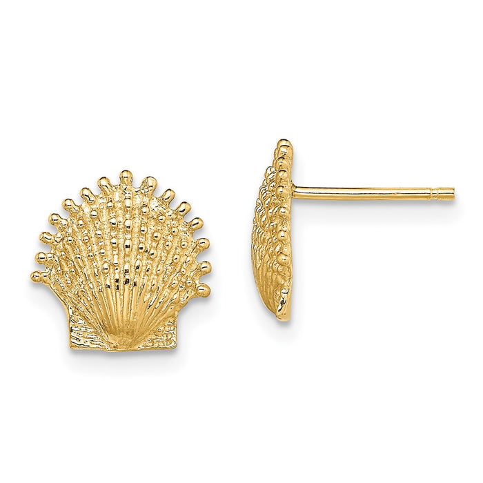 Shop 14K Gold Beaded Scallop Shell Stud Earrings - Stylish Luxury for You-1