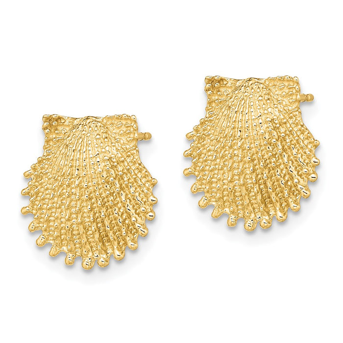 Buy Stylish 14K Gold Beaded Scallop Shell Stud Earrings - 0.85mm Luxury Design-2