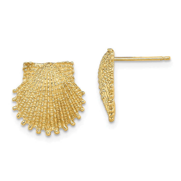 Buy Stylish 14K Gold Beaded Scallop Shell Stud Earrings - 0.85mm Luxury Design-1
