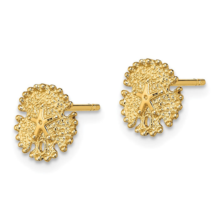 Shop Stylish 14K Gold Textured Sand Dollar Stud Earrings - Value & Quality-2