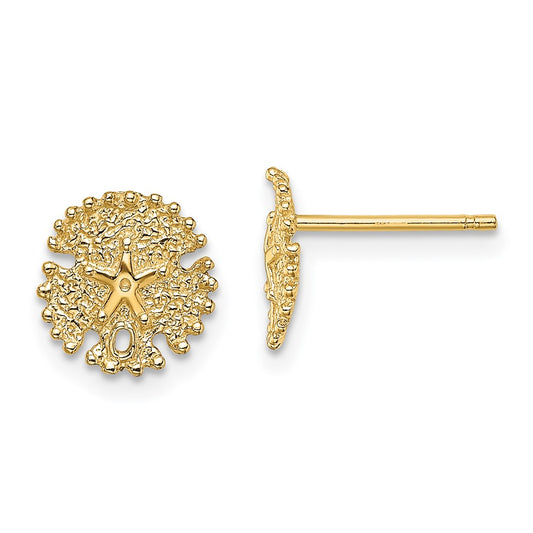 Shop Stylish 14K Gold Textured Sand Dollar Stud Earrings - Value & Quality
