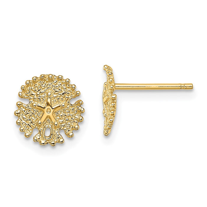 Shop Stylish 14K Gold Textured Sand Dollar Stud Earrings - Value & Quality-1