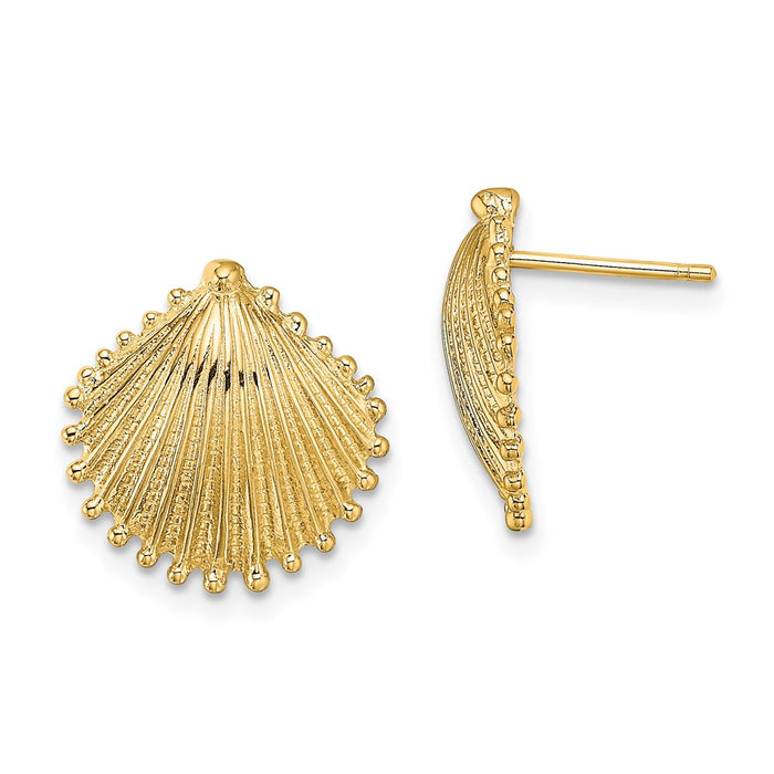 High-Quality 14K Gold Scallop Shell Stud Earrings - Stylish & Affordable!-1
