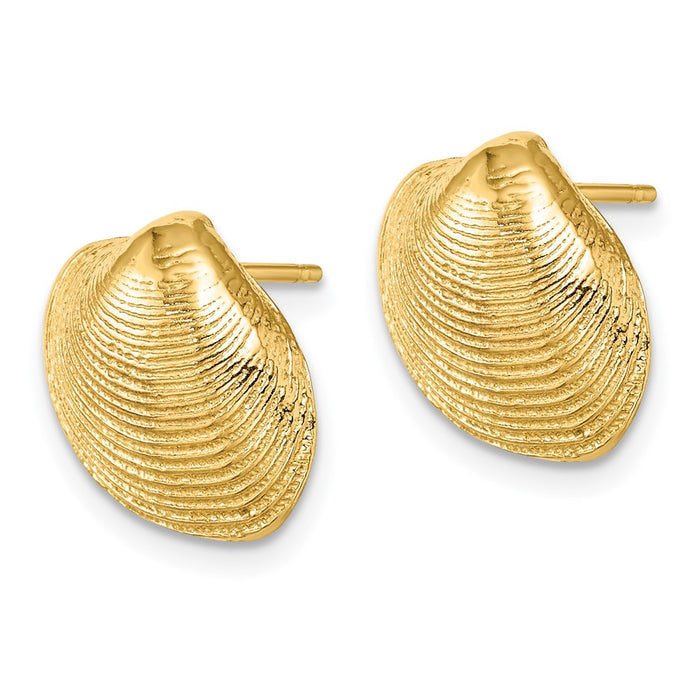Buy Exclusive 14K Gold Clam Shell Stud Earrings - Stylish & Affordable!-2