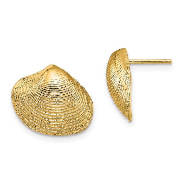 Buy Exclusive 14K Gold Clam Shell Stud Earrings - Stylish & Affordable!-1