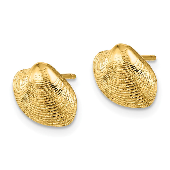 Buy Stylish 14K Gold Clam Shell Stud Earrings - Affordable Luxury Design-2