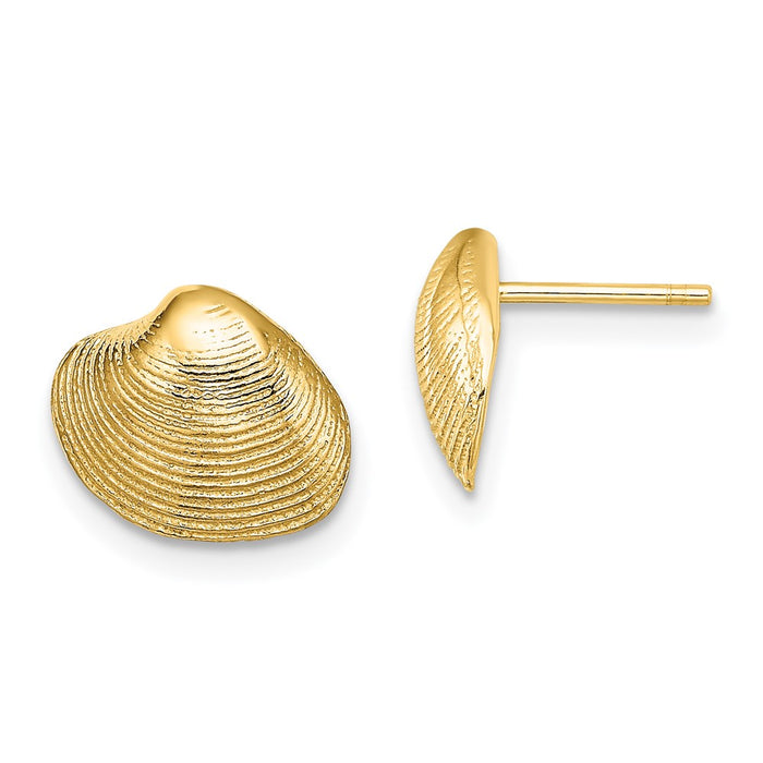 Buy Stylish 14K Gold Clam Shell Stud Earrings - Affordable Luxury Design-1