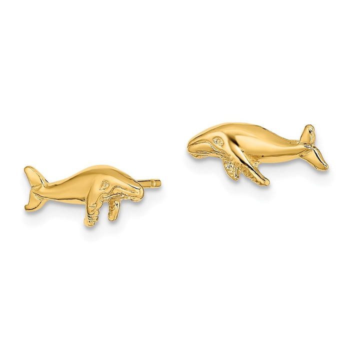 Shop 14K Gold Whale Stud Earrings - Stylish & High-Quality Design-2