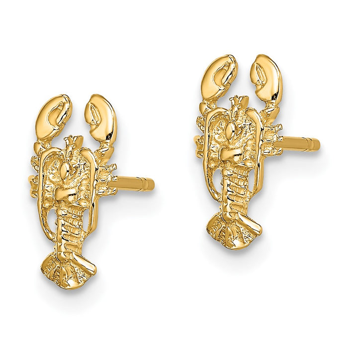 High-Quality 14K Gold 2-D Lobster Stud Earrings - Stylish & Affordable!-2