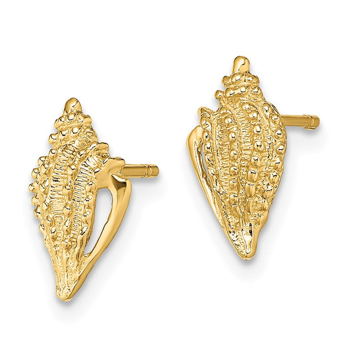 High-Quality 14K Gold Mini Conch Shell Stud Earrings - Stylish & Affordable!-2