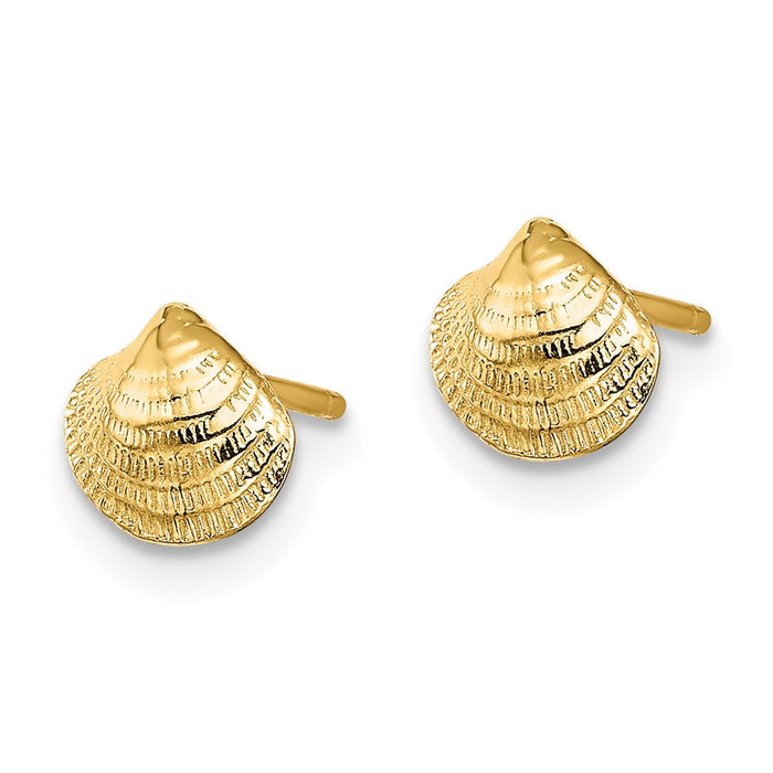 Shop Stylish 14K Gold Mini Clam Shell Stud Earrings - Exclusive Design, Affordable Price-2