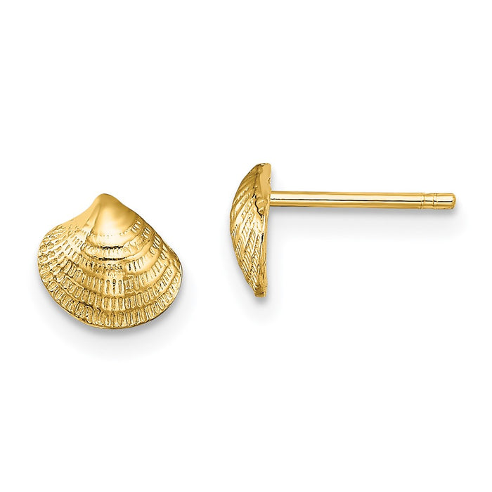Shop Stylish 14K Gold Mini Clam Shell Stud Earrings - Exclusive Design, Affordable Price-1