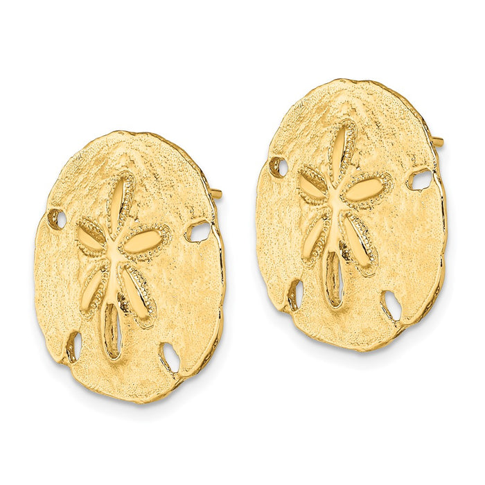 Exclusive 14K Gold Polished Sand Dollar Stud Earrings - Stylish Value at 0.85mm-2