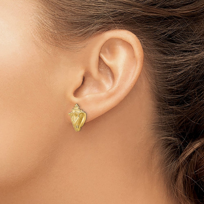 Buy Stylish 14K Gold Two-Dimensional Conch Shell Stud Earrings - 3g-3