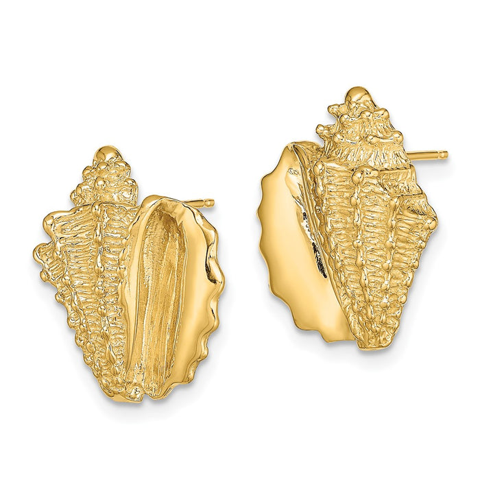 Buy Exclusive 14K Gold 2-D Conch Shell Stud Earrings - Stylish & Affordable-2