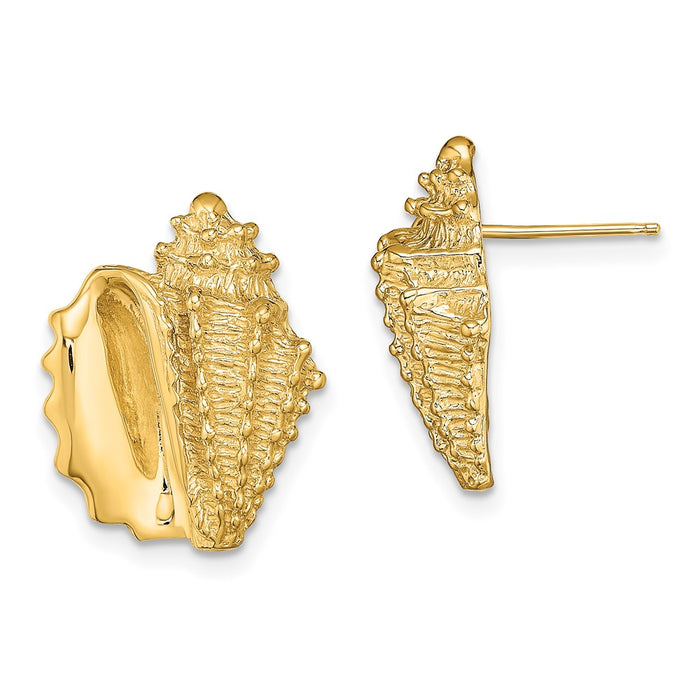 Buy Exclusive 14K Gold 2-D Conch Shell Stud Earrings - Stylish & Affordable-1