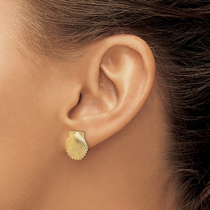 Buy Exclusive 14K Gold Polished Scallop Shell Earrings - Stylish 2D Design-3