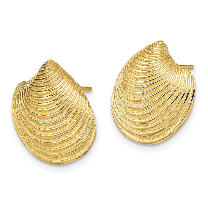 Exclusive 14K Gold Textured Clam Shell Post Earrings - Stylish & Affordable-2