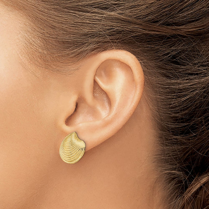 Exclusive 14K Gold Textured Clam Shell Post Earrings - Stylish & Affordable-3