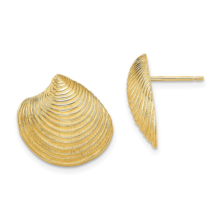 Exclusive 14K Gold Textured Clam Shell Post Earrings - Stylish & Affordable-1