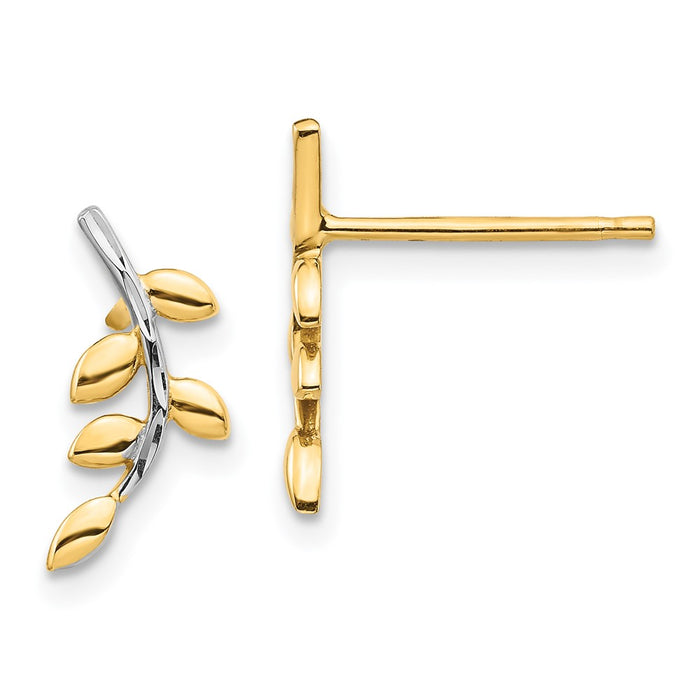 Buy Stylish 14K Gold Leaf Design Post Earrings | Affordable Luxury-1