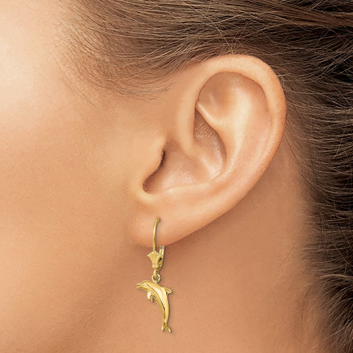 Buy Stylish 14K Gold 3D Mini Dolphin Leverback Earrings - Affordable Luxury-3
