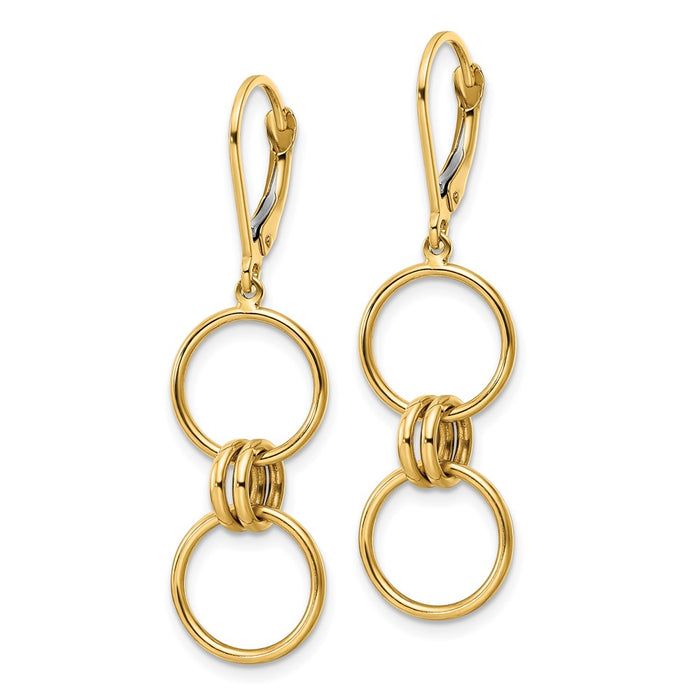 Shop Stylish 14K Gold Circle Dangle Earrings | Luxury Leverback Design-2