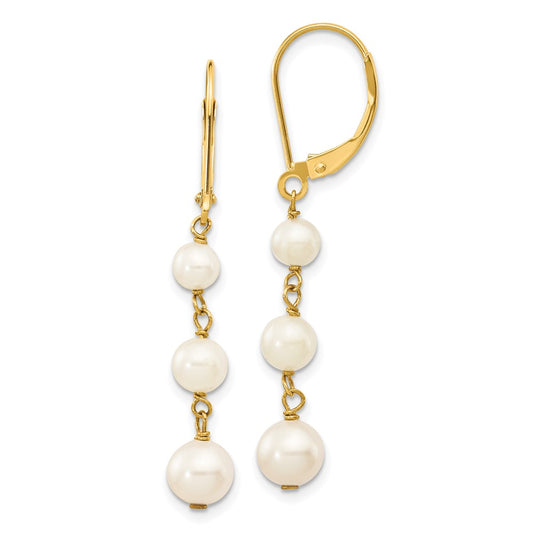 Buy Stylish 14K White Gold Pearl Dangle Earrings - 4-6mm, Luxury Design
