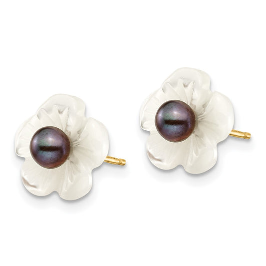 High-Quality 14K Gold Pearl Earrings with 10mm Mother of Pearl - Stylish Value
