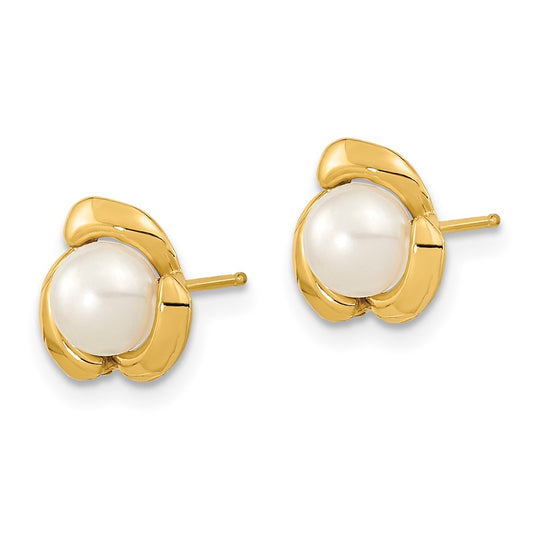 Shop Stylish 14K White Gold Pearl Button Post Earrings - 5-6mm Luxury Value