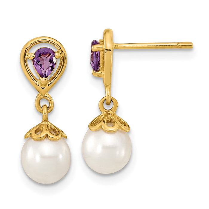 Exclusive 14K White Gold Amethyst & Pearl Dangle Earrings - Stylish Value!-1
