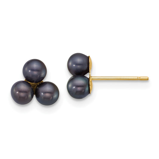 Shop Exclusive 14K Gold Polished Black Pearl Earrings - 3-4mm | Stylish Value