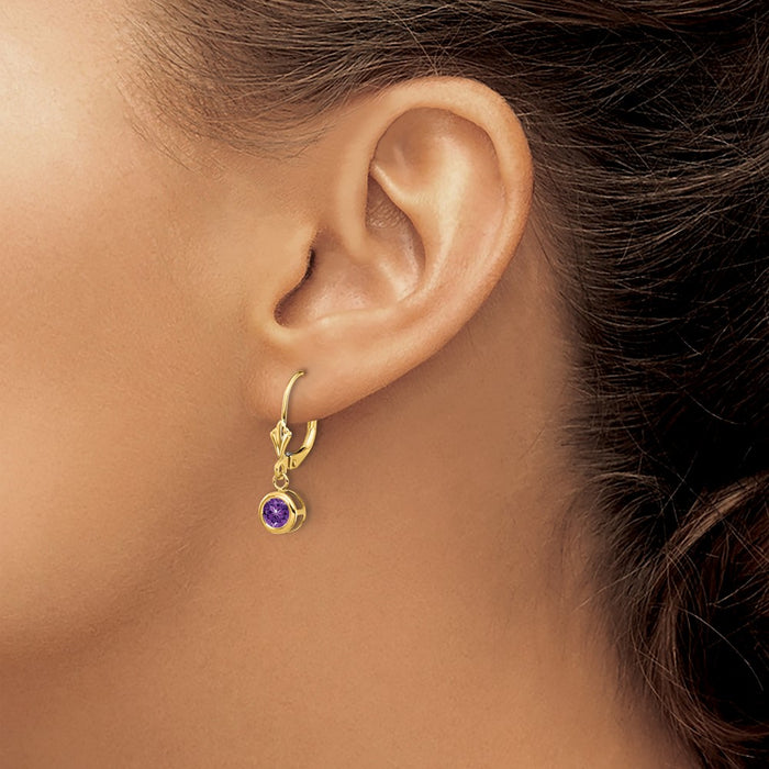 High-quality 14K Gold 5mm Amethyst Leverback Earrings | Stylish & Affordable-3